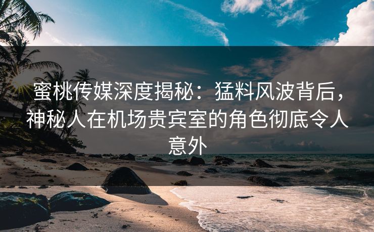 蜜桃传媒深度揭秘：猛料风波背后，神秘人在机场贵宾室的角色彻底令人意外