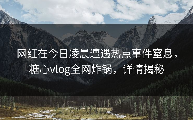 网红在今日凌晨遭遇热点事件窒息，糖心vlog全网炸锅，详情揭秘